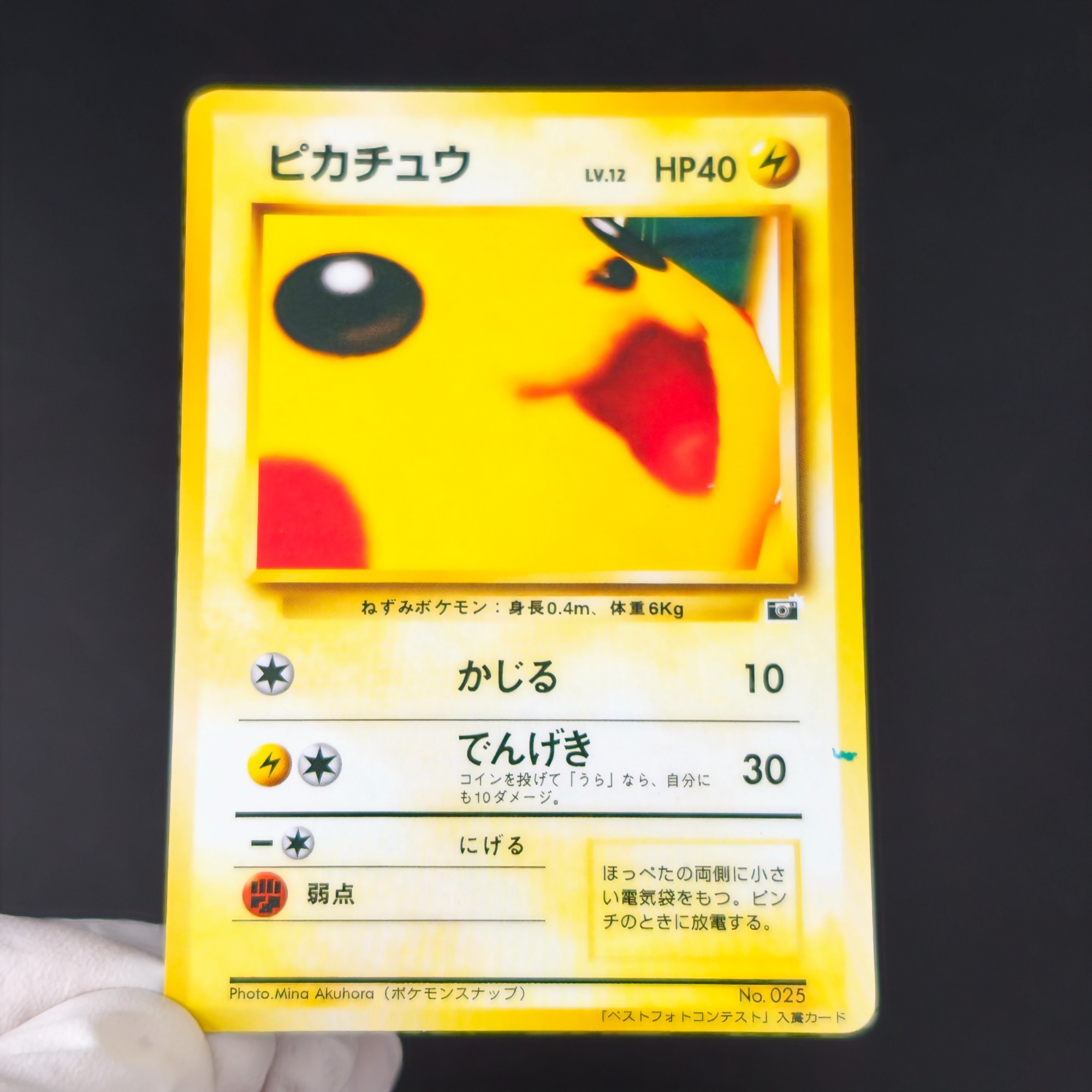 Retro Gaming Pokemon - 10PCS Pokemon Vintage Boy Bulbasaur Charmander