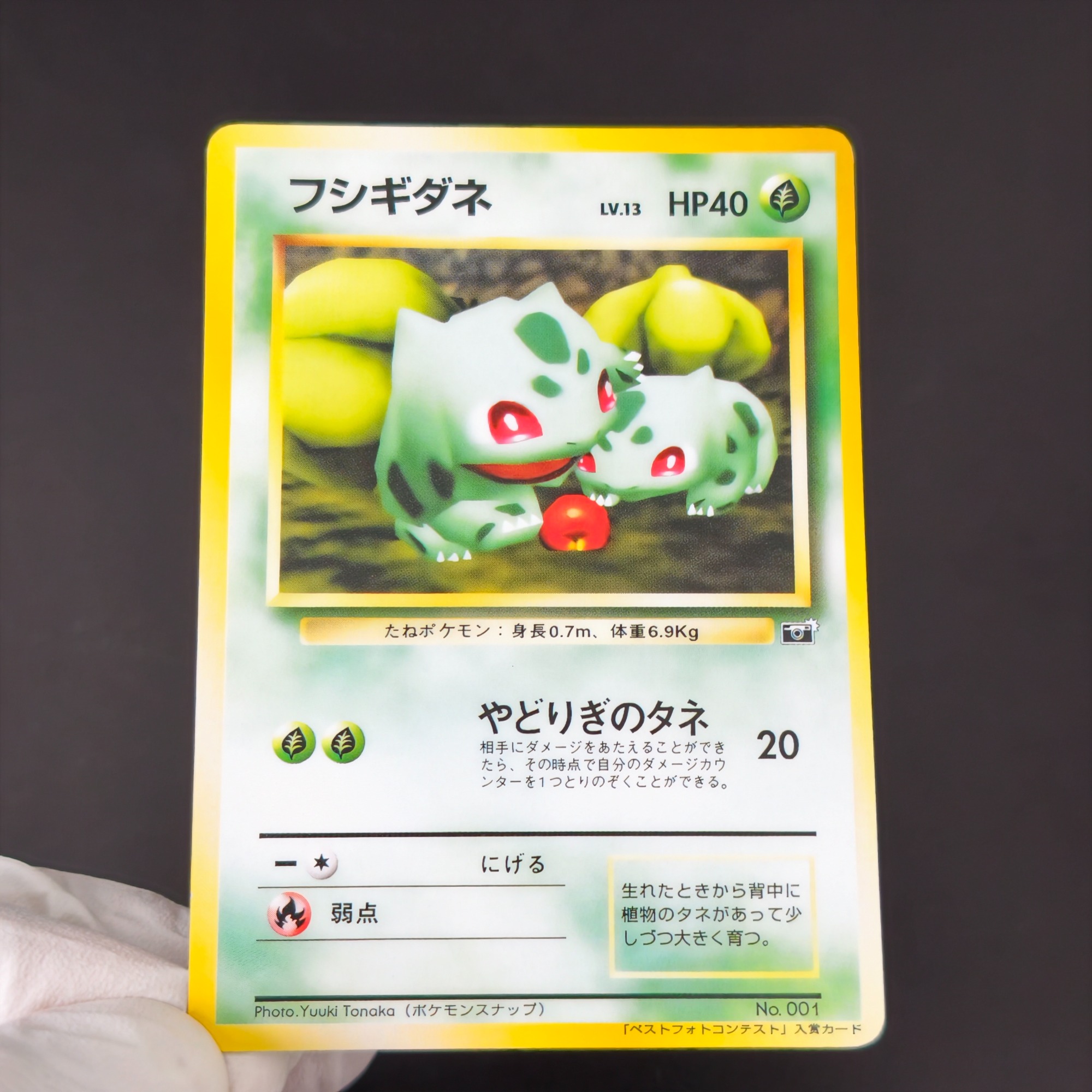 10PCS Pokemon Vintage Boy Bulb - đánh giá và giá Retro Gaming Pokemon